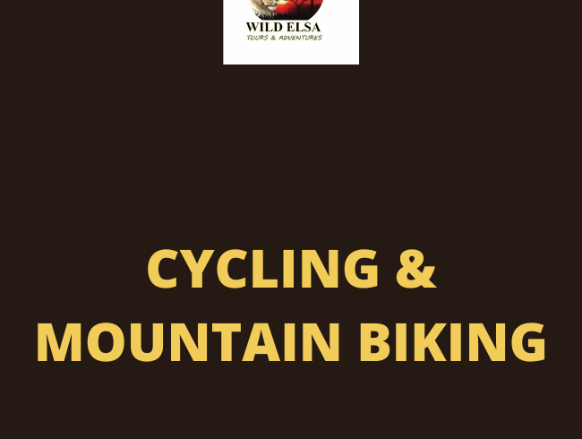 Cycling & Mountain Biking