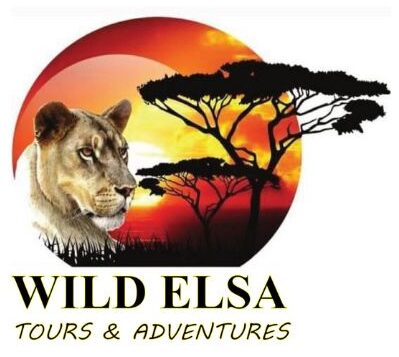 WildElsaTours